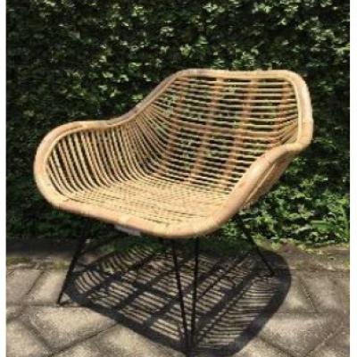 Ch Rattan Iron Blond